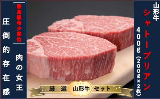 山形県舟形町のふるさと納税 【山形牛　6ヶ月定期便】希少部位　豪華プレミアム定期便