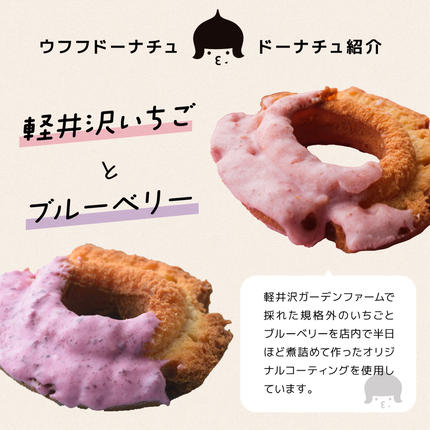 長野県軽井沢町のふるさと納税 軽井沢満喫セット スイーツ お菓子 ドーナツ 洋菓子 菓子 手作りドーナツ