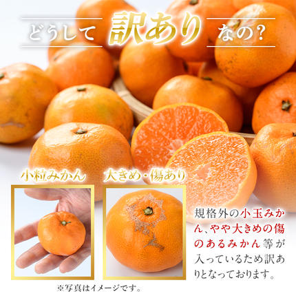 鹿児島県阿久根市のふるさと納税 訳あり！鹿児島県産みかん(計約10kg) 大容量 傷あり 不揃い 国産 柑橘 果物 くだもの フルーツ 旬 期間限定 数量限定 訳アリ 規格外 ご家庭用 ご自宅用 ミカン ノーワックス【三笠農業生産】akn051-04