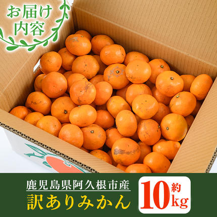 鹿児島県阿久根市のふるさと納税 訳あり！鹿児島県産みかん(計約10kg) 大容量 傷あり 不揃い 国産 柑橘 果物 くだもの フルーツ 旬 期間限定 数量限定 訳アリ 規格外 ご家庭用 ご自宅用 ミカン ノーワックス【三笠農業生産】akn051-04