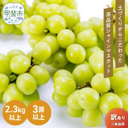山梨県甲斐市のふるさと納税  【2026年/令和8年発送＜先行予約＞】訳あり 2.3kg 3房以上 シャインマスカット 先行予約 山梨県産 国産 産地直送 人気 おすすめ 贈答 ギフト お取り寄せ フルーツ 果物 くだもの ぶどう ブドウ 葡萄 わけあり ワケアリ 新鮮 甘い 皮ごと 甲斐市 BI-1