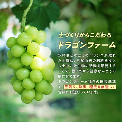 山梨県甲斐市のふるさと納税  【2026年/令和8年発送＜先行予約＞】訳あり 2.3kg 3房以上 シャインマスカット 先行予約 山梨県産 国産 産地直送 人気 おすすめ 贈答 ギフト お取り寄せ フルーツ 果物 くだもの ぶどう ブドウ 葡萄 わけあり ワケアリ 新鮮 甘い 皮ごと 甲斐市 BI-1
