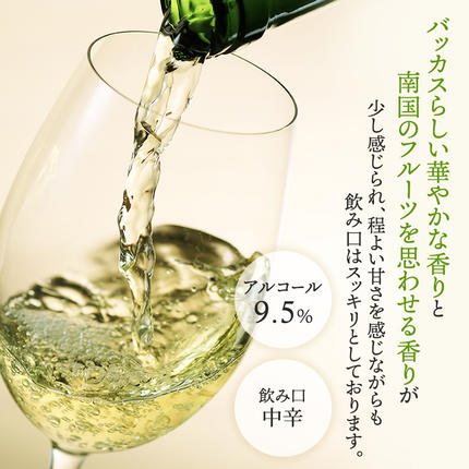 北海道仁木町のふるさと納税 NIKI Hills Winery 白ワイン【 NEIRO 2024 】 750ml ワイン 洋酒 お酒 アルコール ブドウ ぶどう 中辛[株式会社NIKI Hillsヴィレッジ]