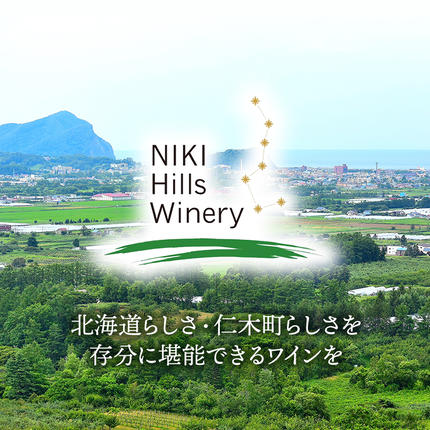 北海道仁木町のふるさと納税 NIKI Hills Winery 白ワイン 【 HATSUYUKI 】 750ml ワイン 洋酒 お酒 アルコール ブドウ ぶどう ドライ [株式会社NIKI Hillsヴィレッジ]