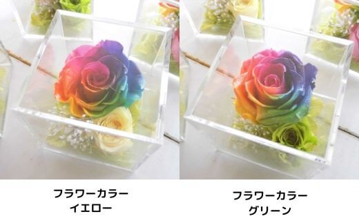 メッセージ刻印 プリザーブドフラワー レインボーローズ クリア