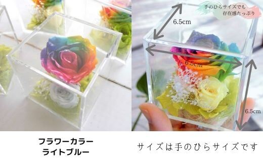 メッセージ刻印 プリザーブドフラワー レインボーローズ クリア