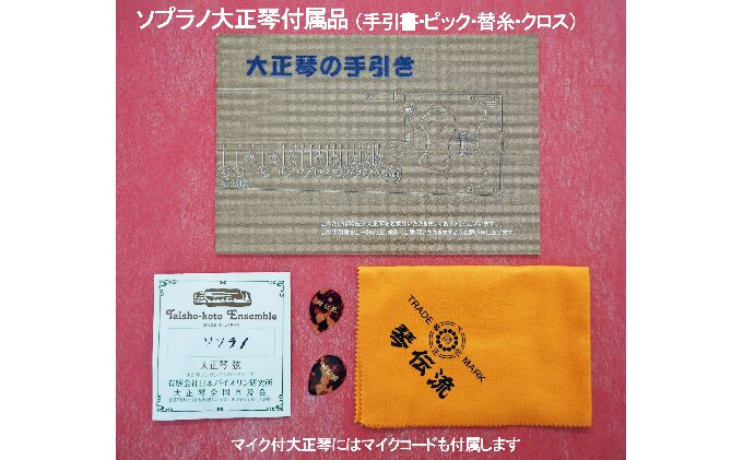 初心者用ソプラノ大正琴「若葉」 雑貨 日用品 楽器 入門モデル 琴伝流