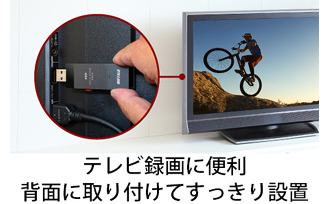 愛知県日進市のふるさと納税 BUFFALO スティック型 SSD 1TB ポータブルSSD コンパクト 持ち運び USB 家電