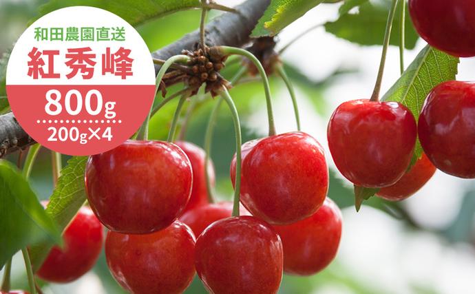2027年発送] 北海道 仁木町産 さくらんぼ 紅秀峰 800g（400g×2パック