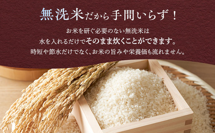 北海道富良野市のふるさと納税 【令和8年度産】◆3ヵ月定期便◆ 富良野 山部米研究会【 ななつぼし 】無洗米 5kg×2袋（10kg）お米 米 ご飯 ごはん 白米 令和8年 令和8年産 定期便 定期 送料無料 北海道 富良野市 道産 直送 ふらの