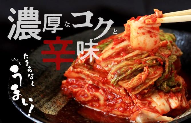 大阪府泉佐野市のふるさと納税 【リピーター続出！】白菜キムチ 1kg【新鮮野菜 高評価 人気 惣菜 きむち 漬物 韓国グルメ おつまみ 家計応援】 099H4178