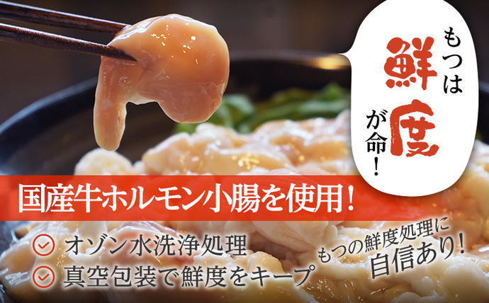 福岡県大木町のふるさと納税 国産牛もつ　もつ鍋セット　10人前　1,000g　　BU001