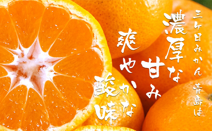 静岡県浜松市のふるさと納税 【2026年2月中旬以降順次発送】三ヶ日みかんジュース ストレート「あおしま」180ml　12本【静岡 三ヶ日 みかん ジュース】 果汁飲料 野菜飲料 ミカン フルーツ