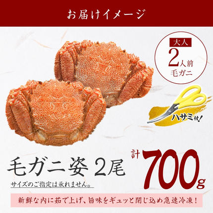 3334. 毛蟹 2尾 計700g前後 食べ方ガイド・専用ハサミ付 カニ かに 蟹