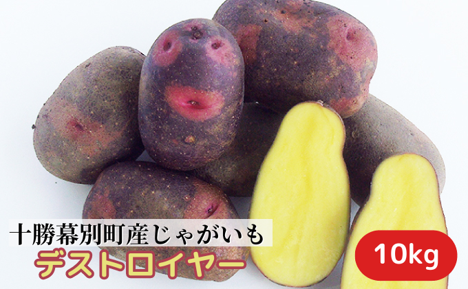 十勝 幕別町産 じゃがいも10kg (デストロイヤー) 渡邉農場 [2026年11月