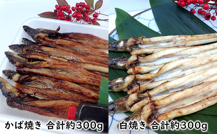 岡山県瀬戸内市のふるさと納税 あなご 先行予約 山銀商店 白焼き ・ かば焼き あなご セット （合計約600g) 産地直送 穴子 魚介類 アナゴ