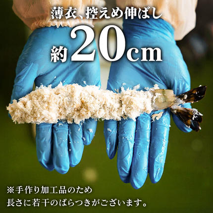 無保水！特大エビフライ10本 [エビフライ ブラックタイガー 特大 無