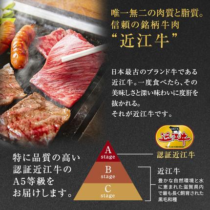 滋賀県豊郷町のふるさと納税 近江牛 焼肉 約600g A5 雌牛 モモ・カタ・ウデ・バラ系等 西川畜産 牛肉 黒毛和牛 焼き肉 焼肉用 肉 お肉 牛 和牛 ブランド牛