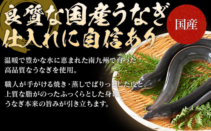 福岡県大木町のふるさと納税 うなぎのせいろ蒸し（3人前）　AE06-3