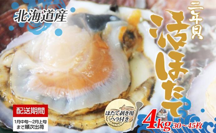 北海道洞爺湖町のふるさと納税 北海道産 活ほたて 2年貝 約 4kg 30枚～45枚 2026年1月中旬～2月上旬頃お届け 殻付き 貝付き 帆立 ホタテ ほたて 貝 魚介 海産 海鮮 貝柱 噴火湾 刺身 焼き フライ 生産者支援 産地直送 送料無料 魚介類