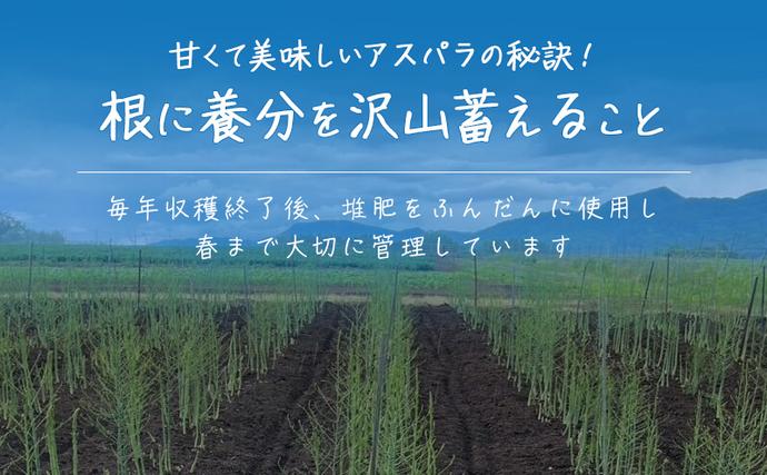 北海道富良野市のふるさと納税 ［武田農園とれたて直送］2026年春～発送 グリーンアスパラ M～2L 混合 1kg やわらかくて抜群にあまい！北海道 富良野産 (アスパラガス アスパラ 野菜 新鮮 産地直送 先行予約 限定)