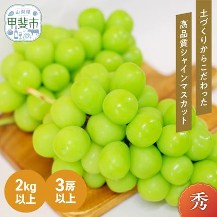 【2026年/令和8年発送＜先行予約＞】土