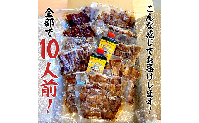 静岡県浜松市のふるさと納税 訳あり 国産 きざみうなぎ 900g (90g×10袋) タレ 75ml×2 山椒付 セット 詰め合わせ 国産うなぎ 刻み 国産刻み鰻 うなぎ ウナギ 鰻 魚介 魚介類 惣菜 お惣菜 小分け 簡単調理 個包装 勝美 静岡うなぎ 浜名湖うなぎ 訳アリ 静岡 静岡県 浜松市