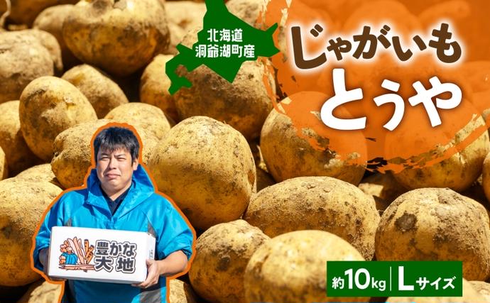北海道産 青野農園 じゃがいも とうや Lサイズ 約10kg 2026年10月初旬