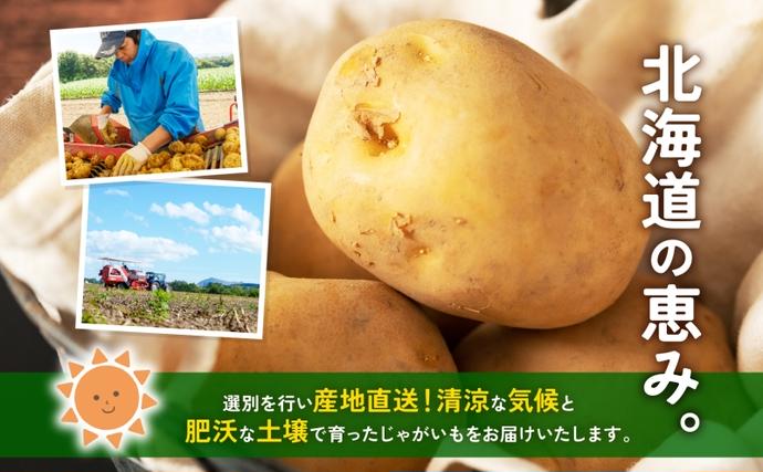 北海道産 青野農園 じゃがいも とうや Lサイズ 約10kg 2026年10月初旬