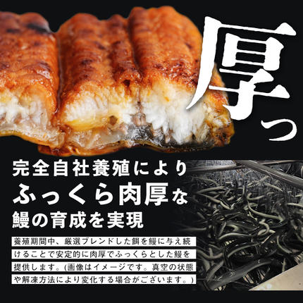 鹿児島県志布志市のふるさと納税 鹿児島県産うなぎ蒲焼 名水慈鰻 6尾＜計840g以上＞ c0-147