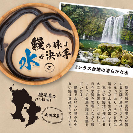 鹿児島県志布志市のふるさと納税 鹿児島県産うなぎ蒲焼 名水慈鰻 6尾＜計840g以上＞ c0-147