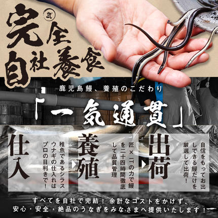 鹿児島県志布志市のふるさと納税 鹿児島県産うなぎ蒲焼 名水慈鰻 6尾＜計840g以上＞ c0-147