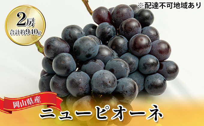 岡山県玉野市のふるさと納税 ぶどう 2026年 先行予約 ニュー ピオーネ 2房（合計約940g）化粧箱入り ブドウ 葡萄  岡山県産 国産 フルーツ 果物 ギフト