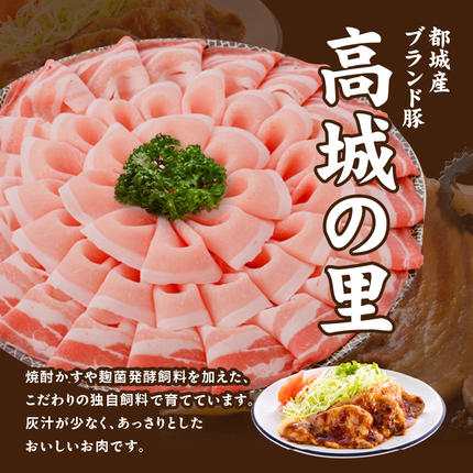宮崎県都城市のふるさと納税 「高城の里」わくわく4.1kgセット(真空)_22-8401-s