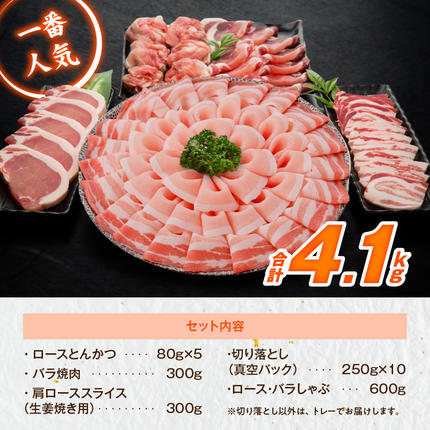 宮崎県都城市のふるさと納税 「高城の里」わくわく4.1kgセット(真空)_22-8401-s