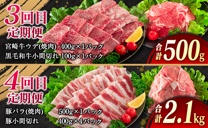 宮崎県日南市のふるさと納税 【令和8年4月から毎月配送】5か月定期便 月替わりで堪能!! 牛肉 豚肉 焼肉 セット 豚バラ 肩ロース モモ ウデ 総重量5.6kg 国産 食品 おかず BBQ バーベキュー 小分け 宮崎牛 黒毛和牛 小間切れ 赤身 A4 A5 高級 グランピング お弁当 おすすめ 人気 選べる ミヤチク 宮崎県 日南市 送料無料_JE5-25-C