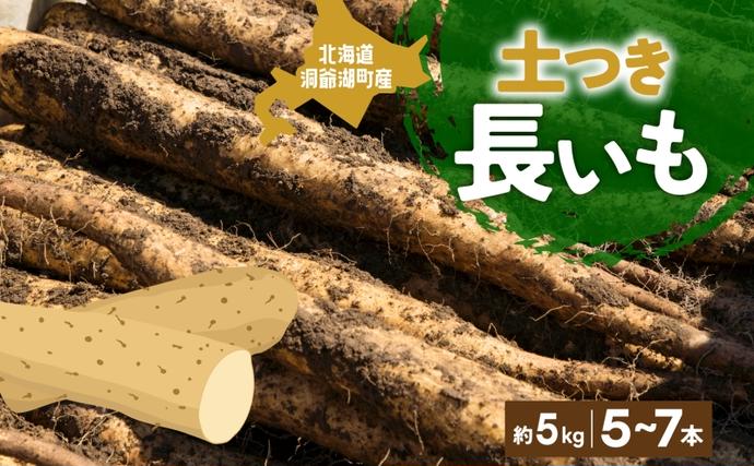 北海道産 青野農園 土つき 長いも 約5kg 5～7本 2026年11月下旬～1月