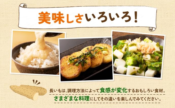 北海道産 青野農園 土つき 長いも 約5kg 5～7本 2026年11月下旬～1月