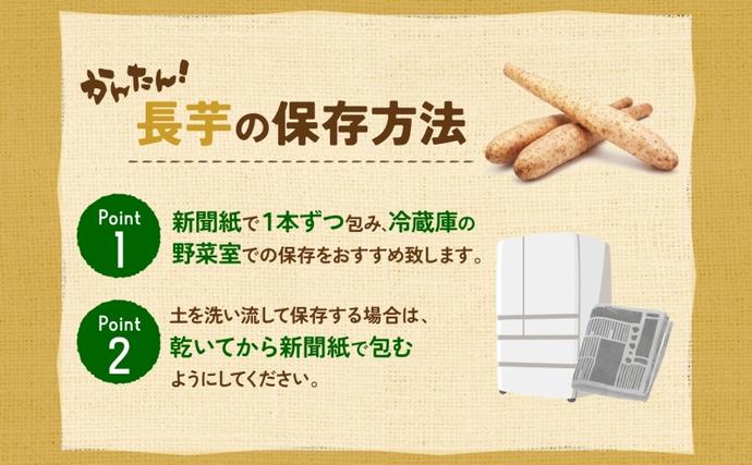 北海道産 青野農園 土つき 長いも 約5kg 5~7本 2026年11月下旬~1月 北海道産 青野農園 土つき 長いも 約5kg 5~7本 2026年11月下旬~1月