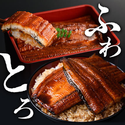 鹿児島県志布志市のふるさと納税 【志布志市制20周年記念】【10営業日以内に発送】鹿児島県産うなぎ蒲焼 名水慈鰻 5尾＜計800g以上＞ b8-043