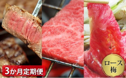 [定期便3ヶ月]石見和牛でちょっと贅沢!ロース定期便・梅(合計約1.7kg)