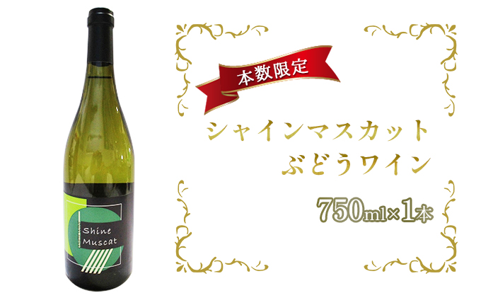 シャインマスカットぶどうワイン 750ml×1本 白ワイン お酒 シャイン