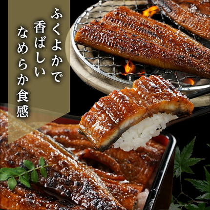 宮崎県都城市のふるさと納税 職人手焼きの本格うなぎ蒲焼き3尾_AC-3301