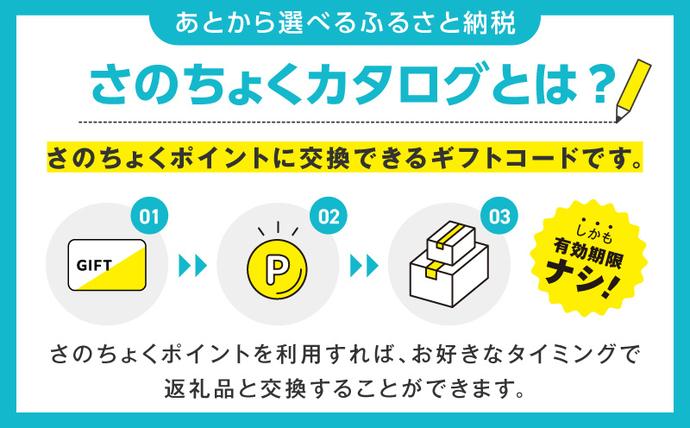 大阪府泉佐野市のふるさと納税 【有効期限なし】あとから選べる さのちょくカタログ（寄附60,000円コース）【泉佐野市 ふるさとギフト 3000品以上 高評価 肉 ビール 海鮮 野菜 定期便 タオル ティッシュ 後から カタログギフト あとからセレクト】  sn030