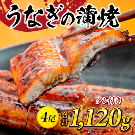 福岡県篠栗町のふるさと納税 うなぎの蒲焼４尾 タレ付き（3本）　YZ003