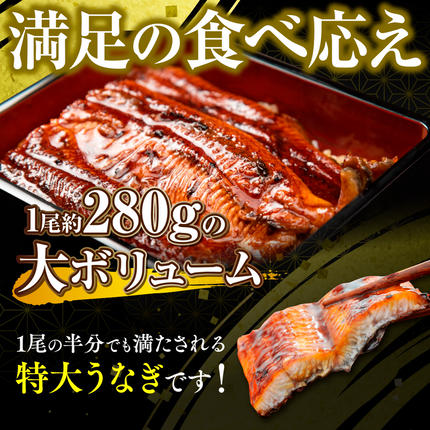 福岡県篠栗町のふるさと納税 うなぎの蒲焼４尾 タレ付き（3本）　YZ003