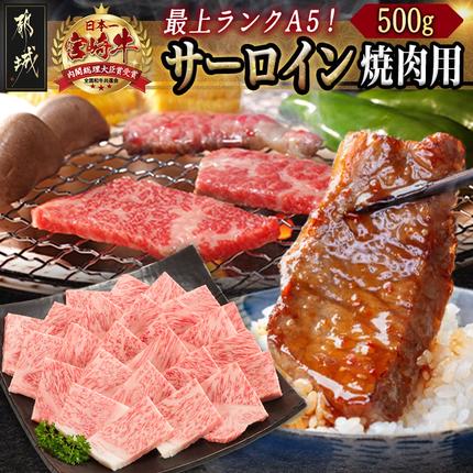 宮崎県都城市のふるさと納税 【A5】宮崎牛サーロイン焼肉用500g_AE-0106