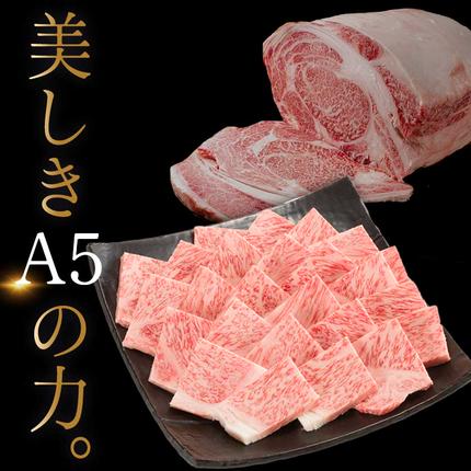 宮崎県都城市のふるさと納税 【A5】宮崎牛サーロイン焼肉用500g_AE-0106