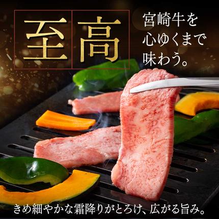 宮崎県都城市のふるさと納税 【A5】宮崎牛サーロイン焼肉用500g_AE-0106