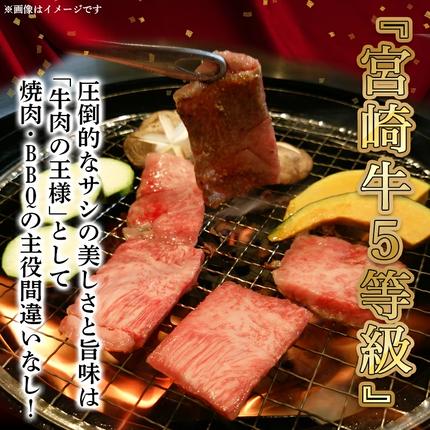 宮崎県都城市のふるさと納税 【A5】宮崎牛サーロイン焼肉用500g_AE-0106